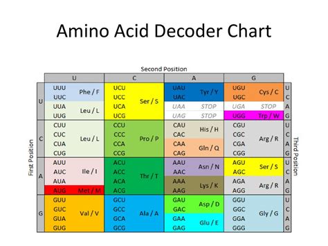 Decoding the Amino Acid Alphabet