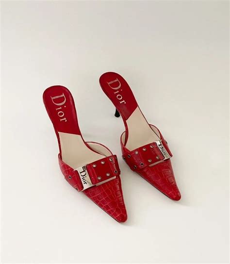 Decoding the Elegance: A Comprehensive Guide to Dior Red Shoes