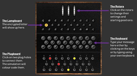 Decoding the Enigma: All You Need to Know About 0213.500MXP