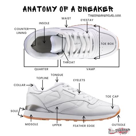 Deconstructing the Anatomy of Footwear: A Comprehensive Guide to Shoe Parts