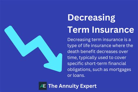 Decreasing Term Insurance: 10,000 Words on Essential Info