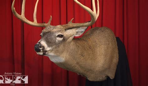 Deer Mounted: A Collector's Guide to Preserving Memories