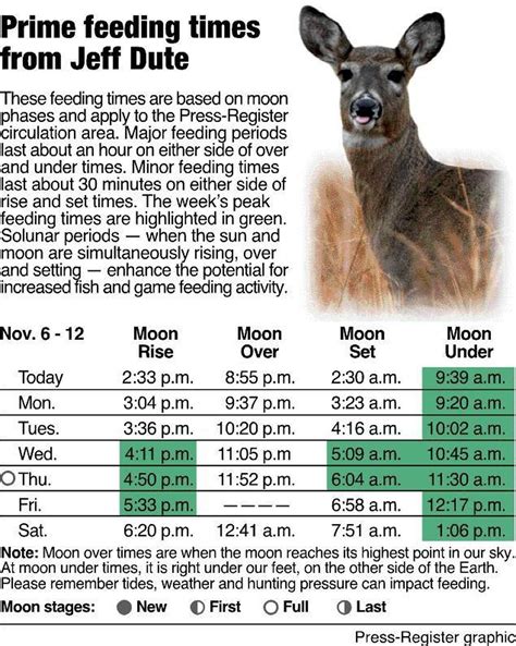 Deer Movement Times Chart