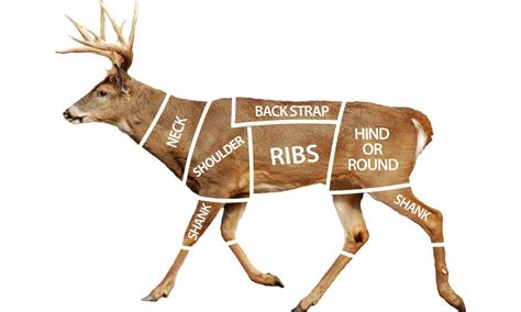 Deer Processing Near Me: A Comprehensive Guide to Local Options