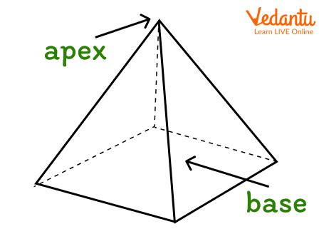 Define the Base Shape: