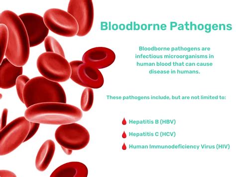 Defining Blood and Bourne