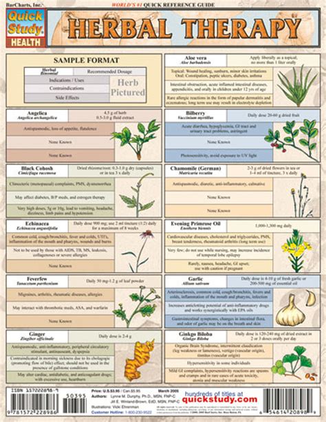 Defining Herbology and Its Origins