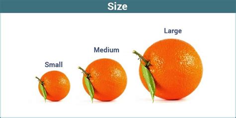 Defining Small Size