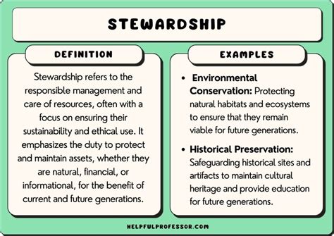 Defining Stewardship