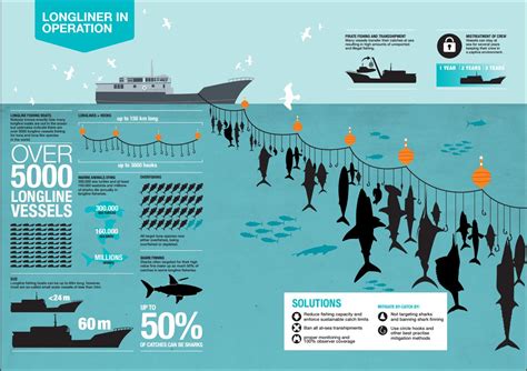 Defining Sustainable Fishing Practices