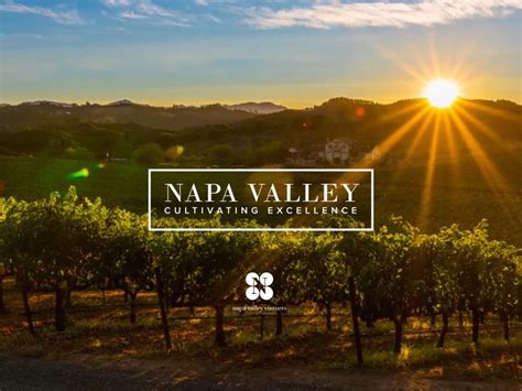 Defining the Benchmark for Napa Valley Excellence