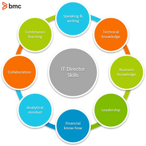 Defining the Role of a Director for Technology