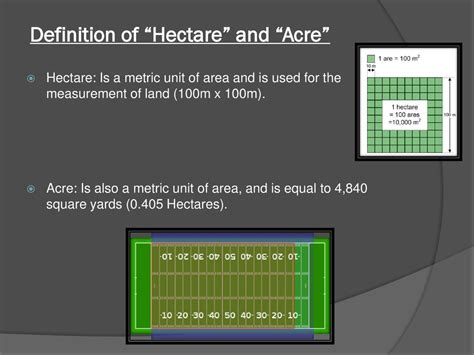 Definition of Hectare: