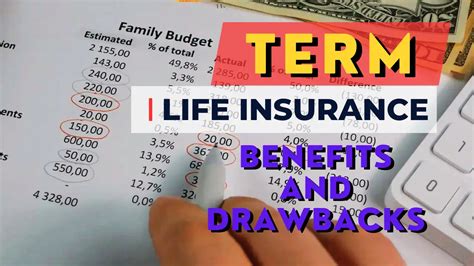 Definition of Term Life Insurance: A 10,000-Word Guide