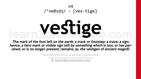 Definition of Vestige Dress