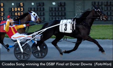 Delaware Standardbred Breeders Fund Final: