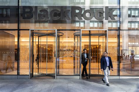 Delve into the World of BlackRock Private Credit