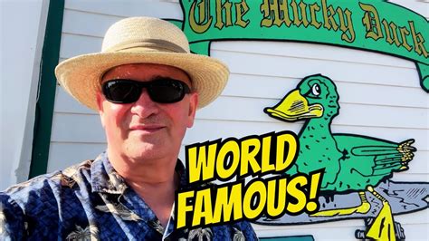 Delve into the World of Mucky Duck