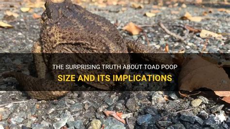 Delve into the World of Poope: Uncovering its Surprising Benefits and Practical Applications