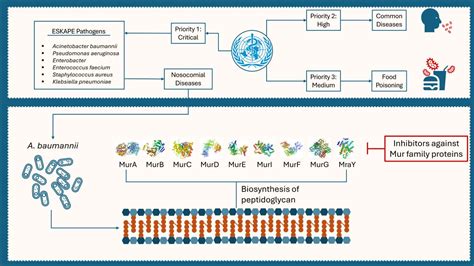 Delving into ATSAM4LS8BA-MUR: An Overview