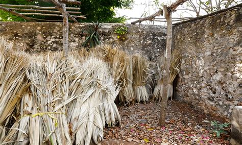 Delving into Slingoooal Sisal: The Sustainable and Versatile Natural Fiber