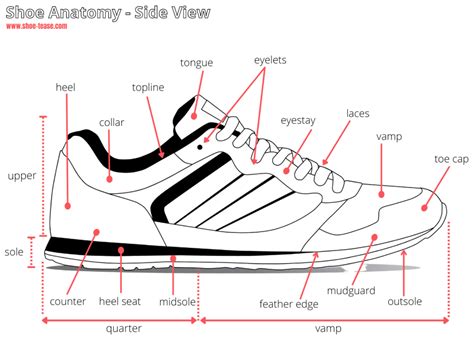 Delving into the Anatomy of Footwear: A Comprehensive Guide to the Parts of a Shoe