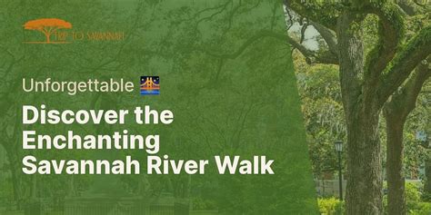 Delving into the Enchanting Savannah River: A Comprehensive Guide to an Ecological Gem