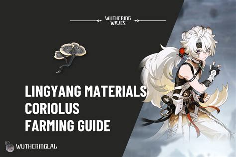 Delving into the Essence of the Lingyang Build