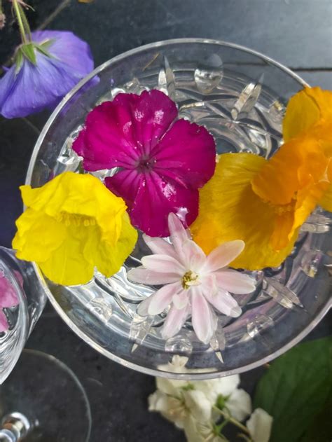 Delving into the Floral Essence of Healing