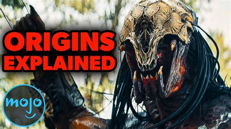 Delving into the Predator's Origins and Evolution