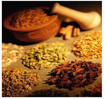 Delving into the Realm of Medicinal Herbs