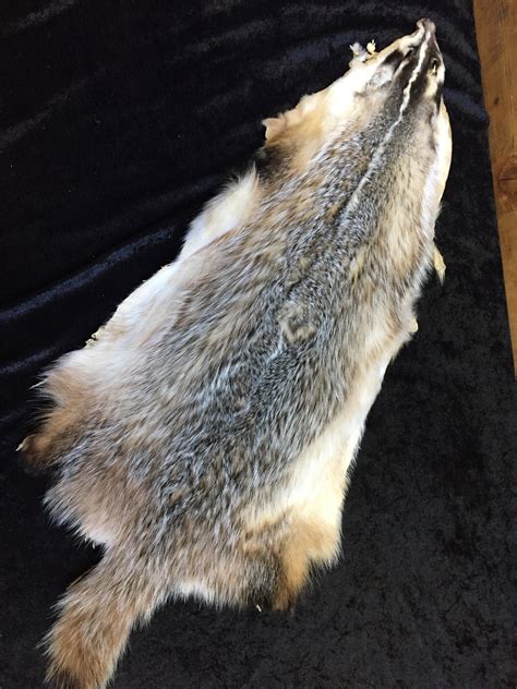 Demand for Badger Fur: