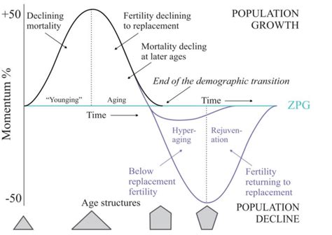 Demographic Momentum: Shaping the Future of Human Geography