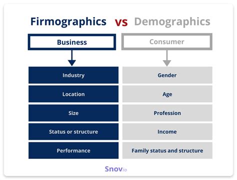 Demographics and Firmographics: