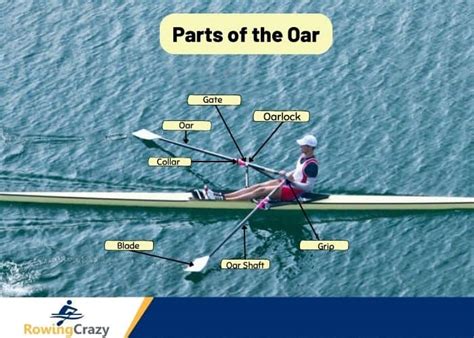 Demystify Rowing Terminology: Your Cox Dictionary for Smooth Sailing