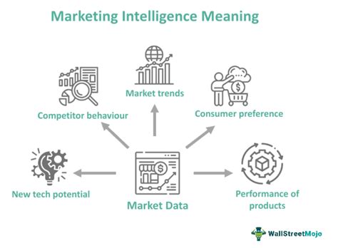 Demystify Your Market with Marketview - Unveiling Powerful Market Intelligence