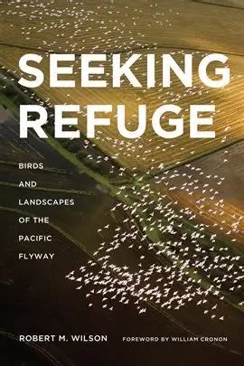 Demystifying Asylum: Navigating the Complexities of Seeking Refuge