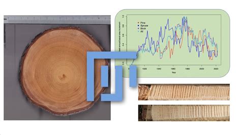 Dendrochronological Analysis: