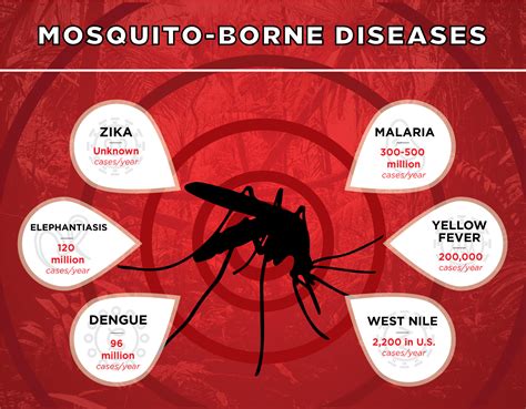 Dengue Fever: The Deadly Mosquito-Borne Epidemic