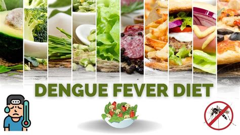 Dengue Fever Diet: What to Eat and Avoid When Down with Dengue