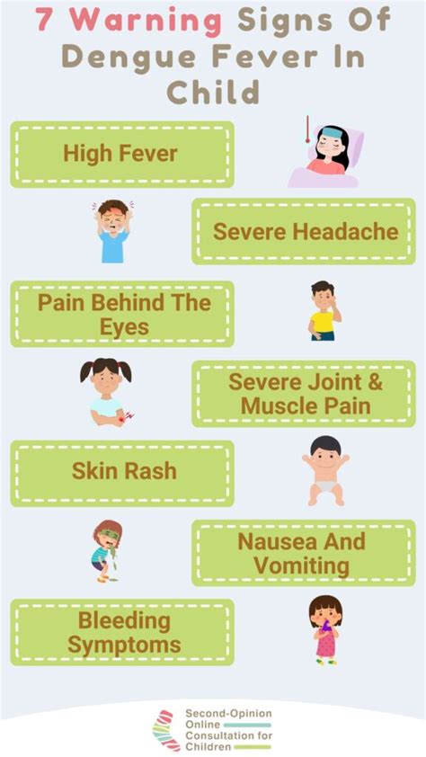 Dengue Symptoms SG: A Comprehensive Guide to Recognize and Seek Help