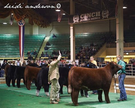 Denver National Stock Show: 112 Years of Western Legacy