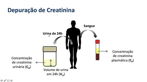 Depuração de Creatinina: Um Guia Completo