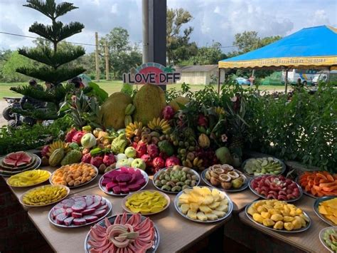 Desaru Fruit Farm: 10,000 Acres of Tropical Delights