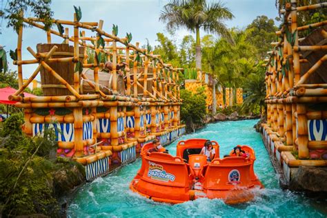 Descubra Quem é o Dono do Beto Carrero World, o Maior Parque Temático do Brasil