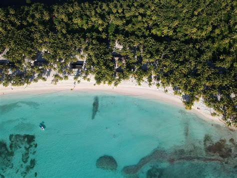 Descubra as Maravilhas de Punta Cana: Passaporte Obrigatório para um Paraíso Sem Igual