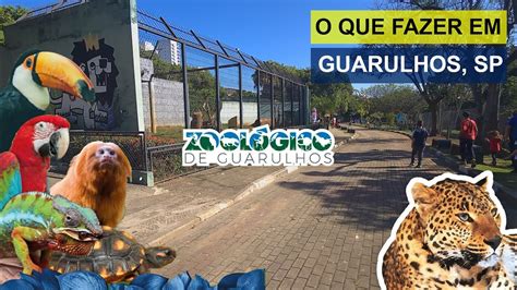 Descubra as Maravilhas do Zoológico de Guarulhos: Um Santuário de Natureza e Conservação