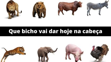 Descubra o Animal da Sorte do Dia: Guia Completo para "Que Bicho Vai Dar Hoje na Cabeça"