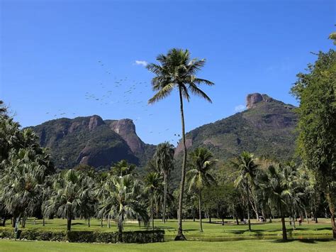 Descubra o Excepcional Experiência de Golfe no Itanhangá Golf Club