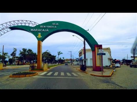 Descubra o Maravilhoso Mundo da Maracajá de Santa Catarina